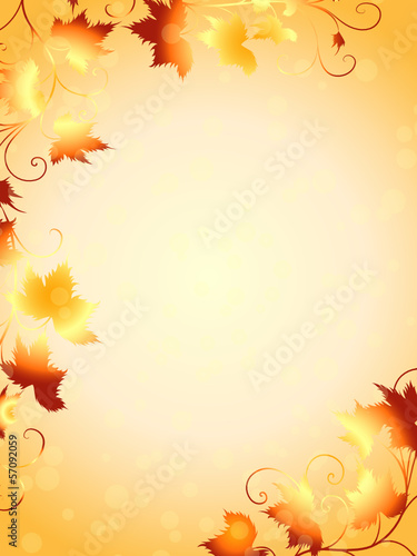 weinblatt,weinblätter,blatt,botanik,herbstblatt,herbst,rahmen,  