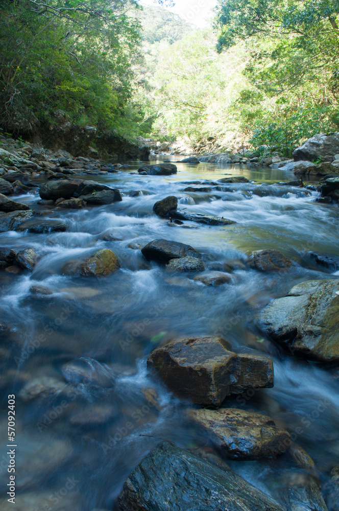Fototapeta premium やんばるの清流（安波川）