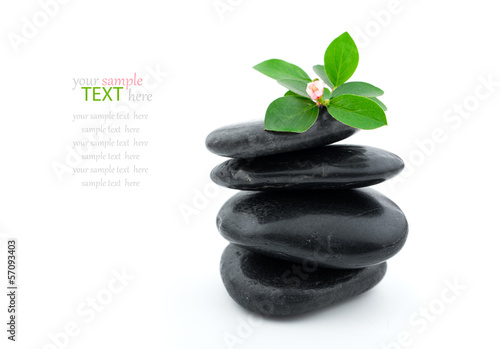 Balanced spa stones with plant and white background.