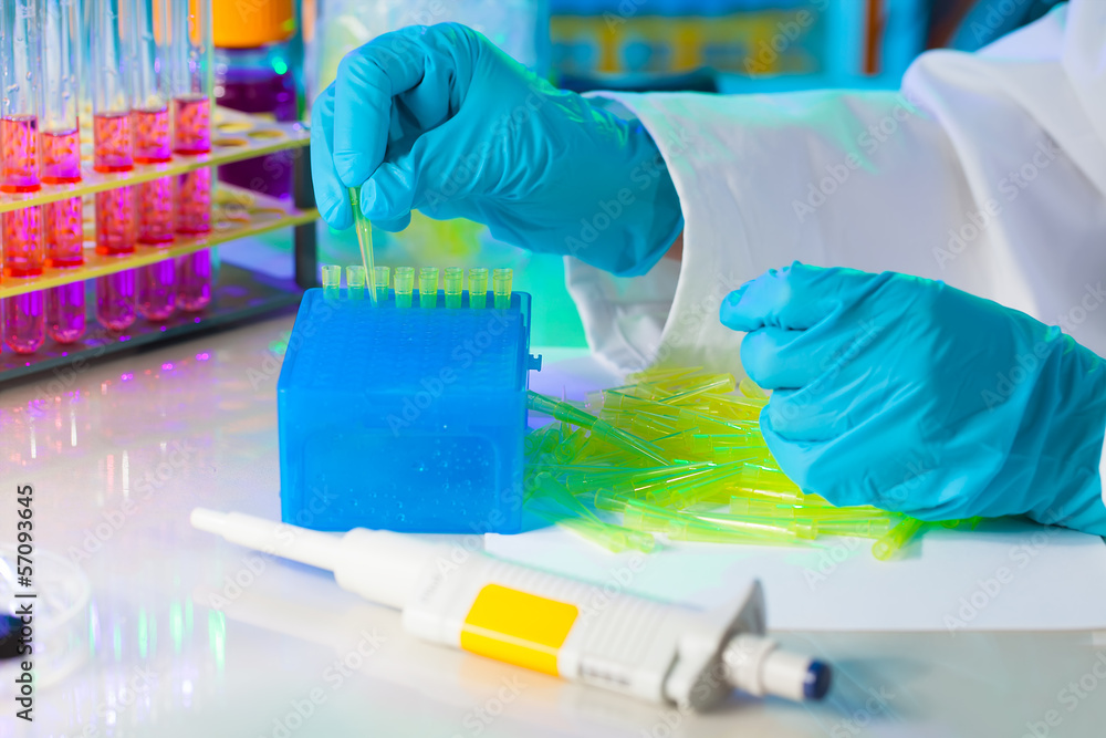 Tech fills in a plastic box with yellow tips for automatic pipet Tech fills in a plastic box with yellow tips for automatic pipet