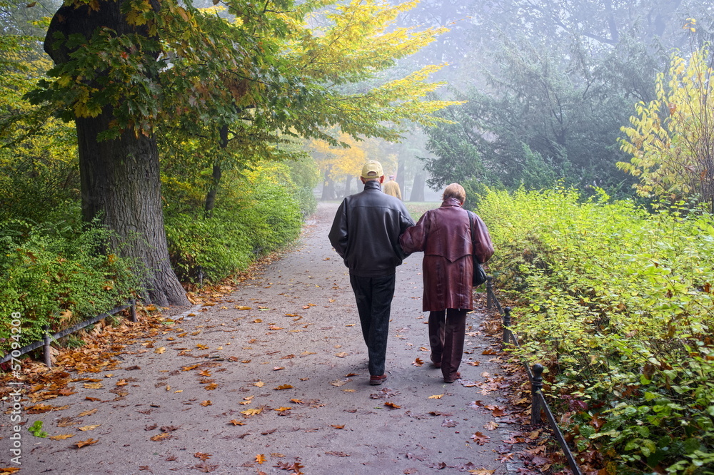 Senior couple in the park