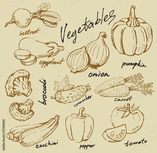 hand drawn vegetables
