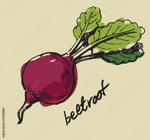 hand drawn beet