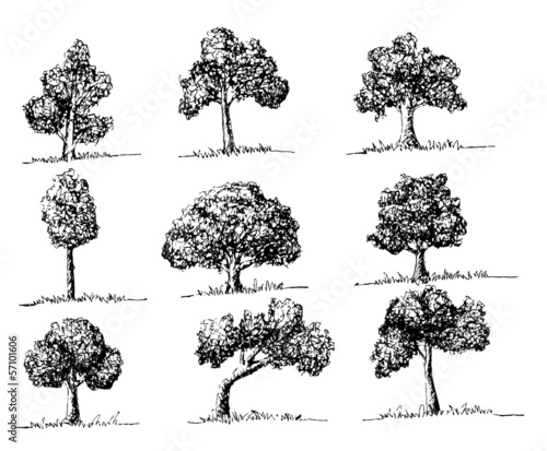 Vector trees with leaves   black silhouettes