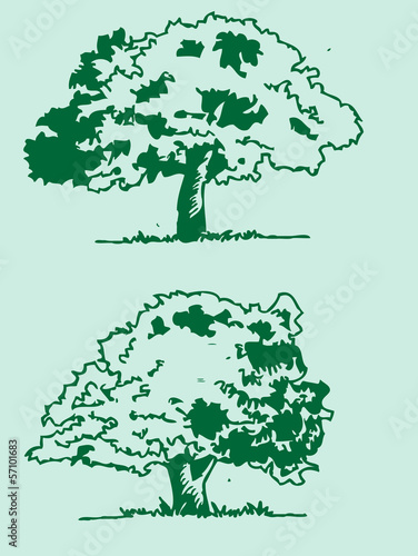 Vector trees with leaves   black silhouettes