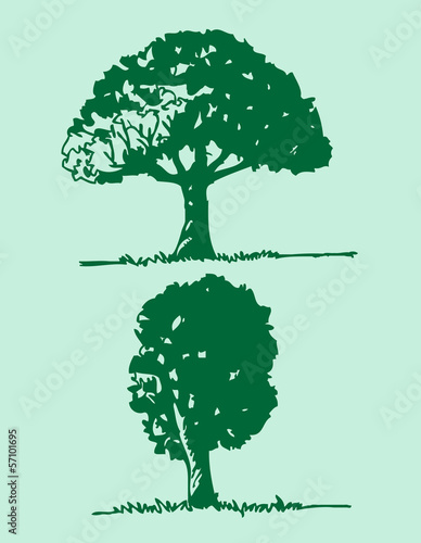 Vector trees with leaves   black silhouettes