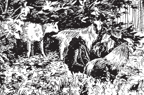 living creatures