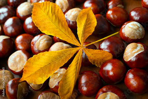 chestnuts with leaf
