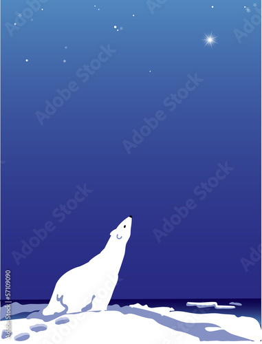 Polar bear