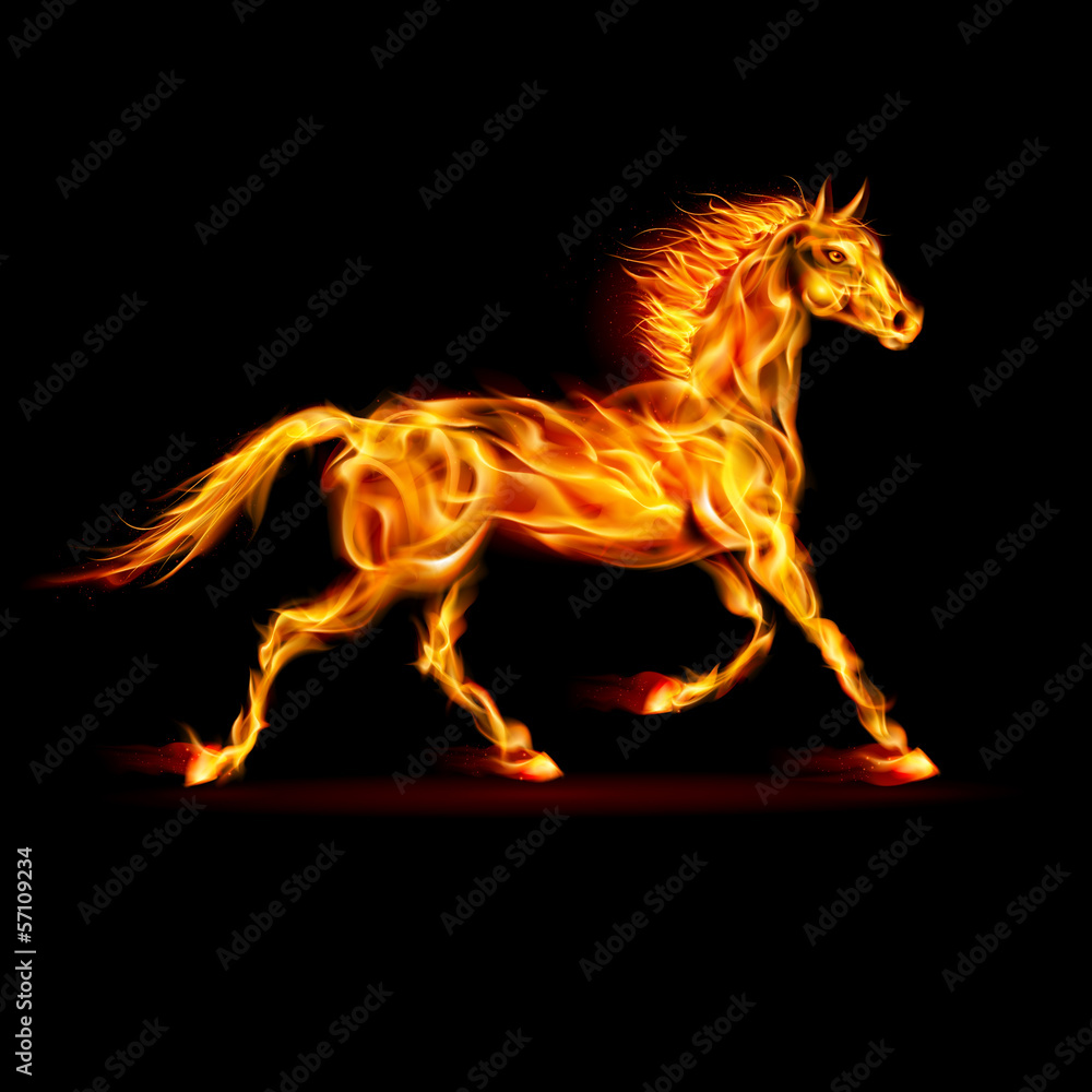Fototapeta premium Fire horse.
