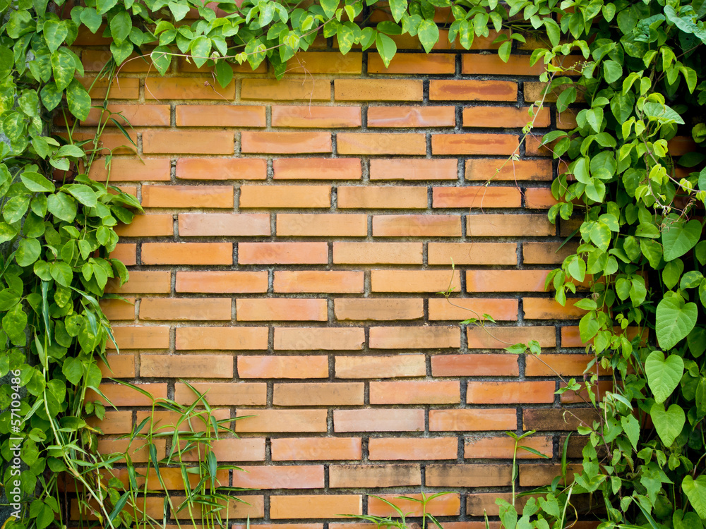 green leaf and brick wall background green leaf and brick wall background