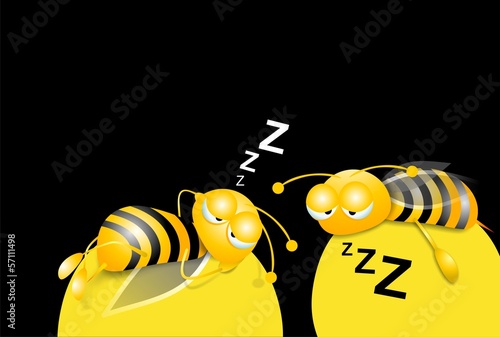 zZZ