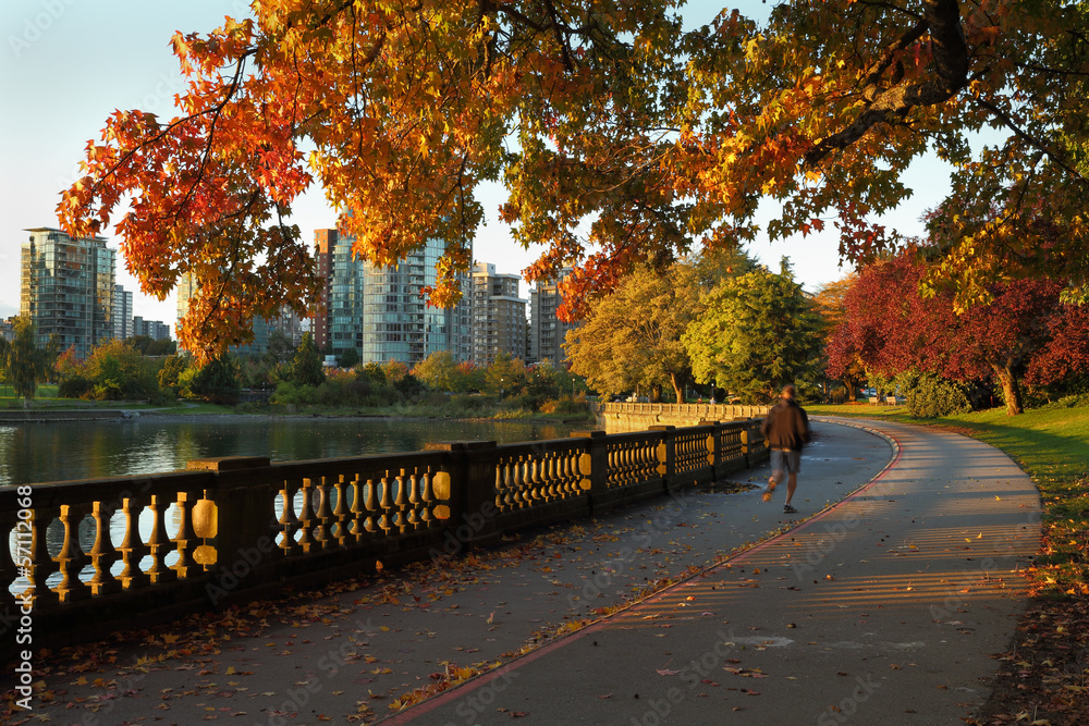 Fototapeta premium Morning Jog, Stanley Park, Vancouver