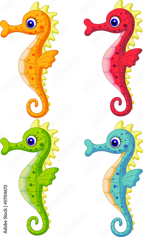 Obraz premium Sea horse cartoon