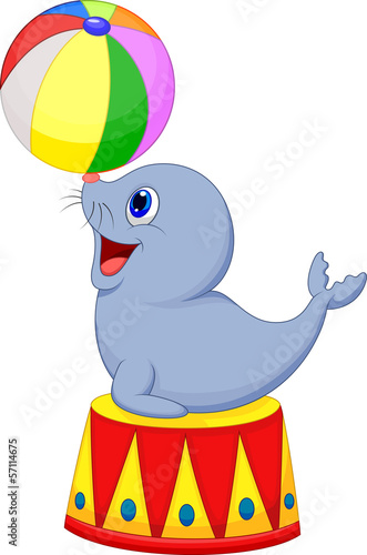 Illustration of Circus seal playing a ball