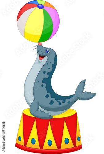 Illustration of Circus seal playing a ball