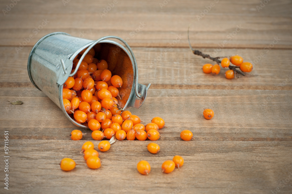 organic sea-buckthorn