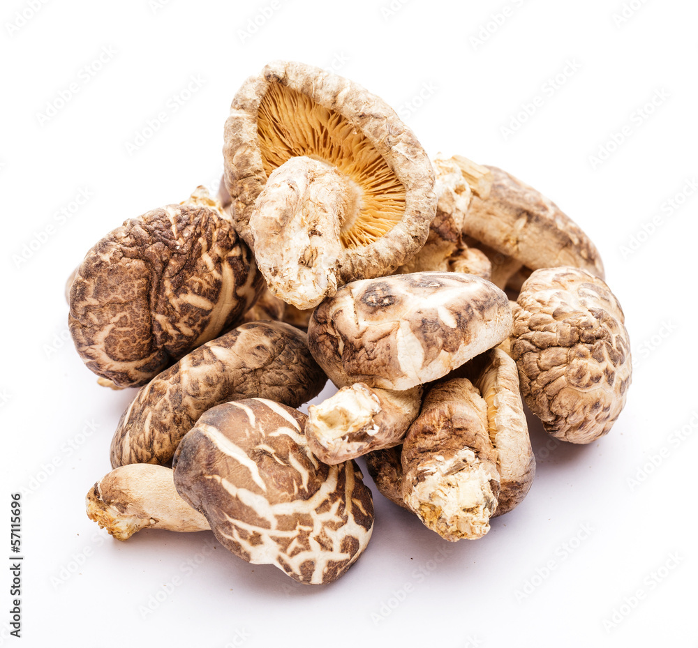 Dried mushroom isolated on white Dried mushroom isolated on white