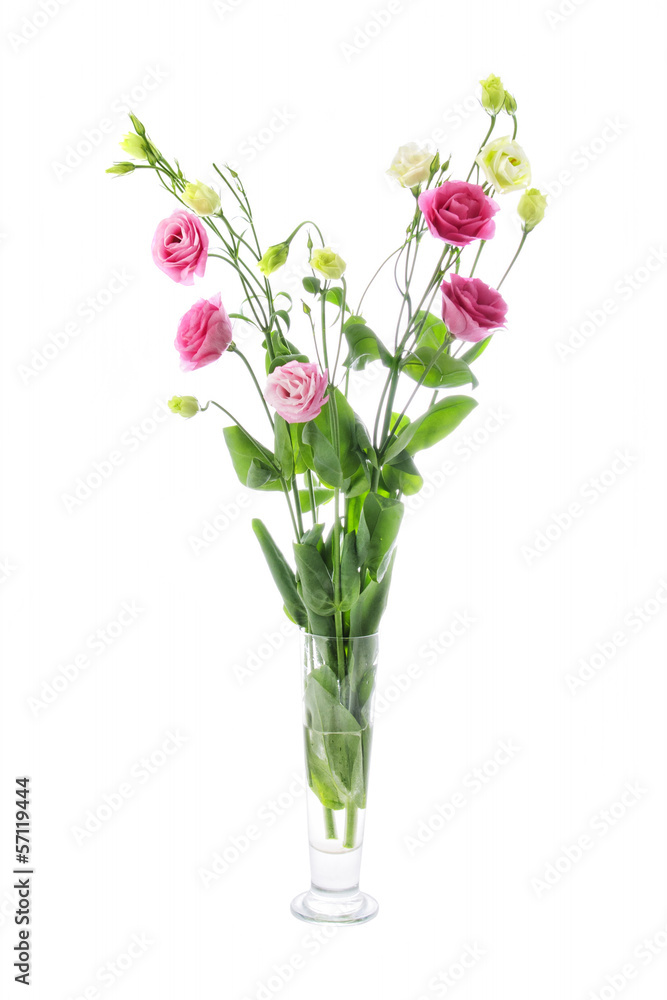Naklejka premium Tender bouquet