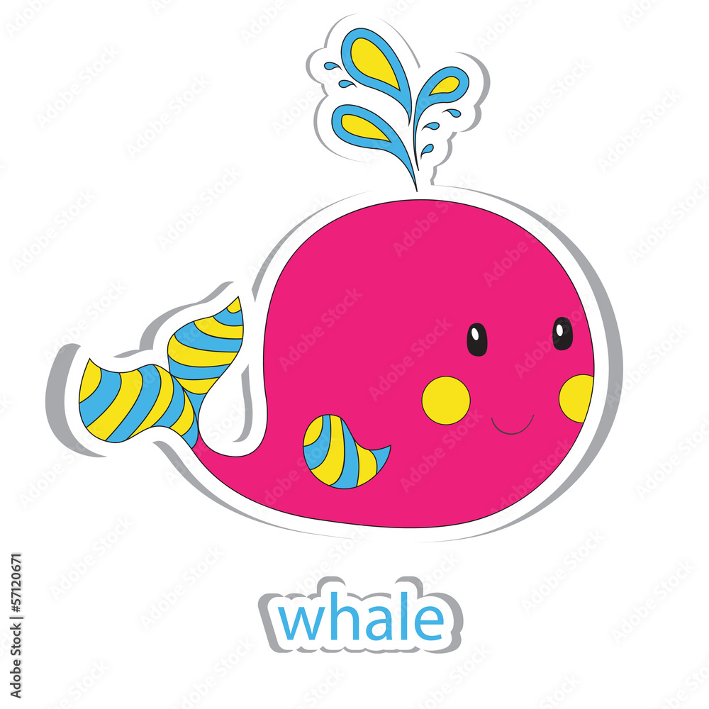 whale whale