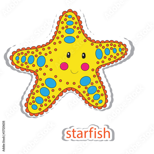 starfish
