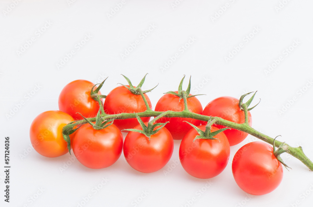 Group Tomatoes on calyx Group Tomatoes on calyx