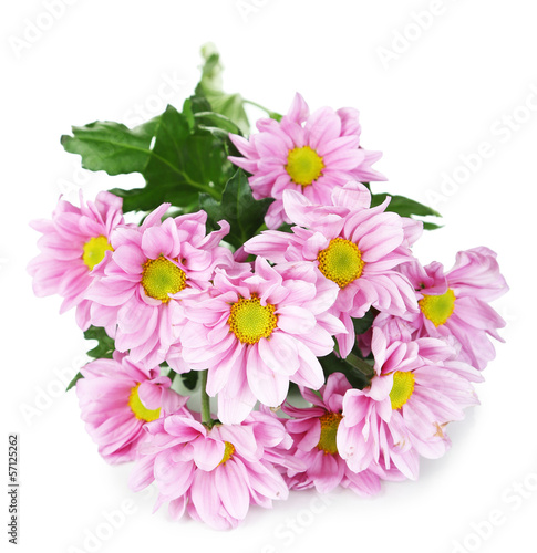 Fototapeta Naklejka Na Ścianę i Meble -  Beautiful purple flowers isolated on white