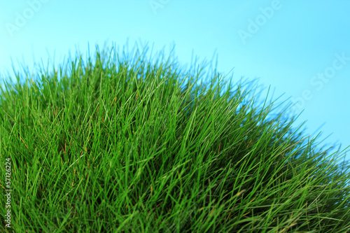 Beautiful green grass on blue background