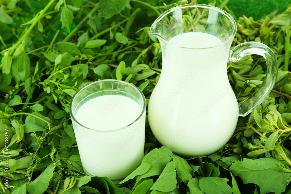 Pitcher and glass of milk on grass Pitcher and glass of milk on grass