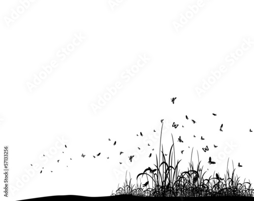 Vector grass silhouette background