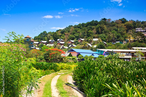 Tourist resorts on Phi-Phi island photo