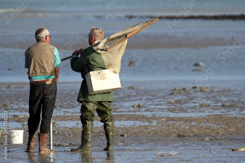 pêche à pied à la crevette en normandie