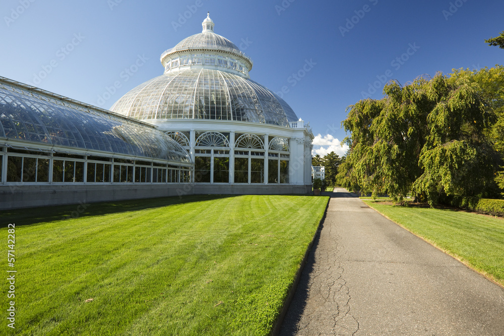 Fototapeta premium Greenhouse Detail