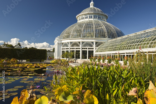 Fotografija Waterlilies and Greenhouse