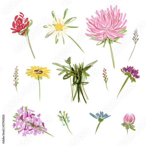 Set of garden flowers, sketch for your design