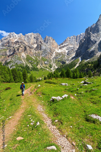 Dolomiti - hiking in Contrin Valley