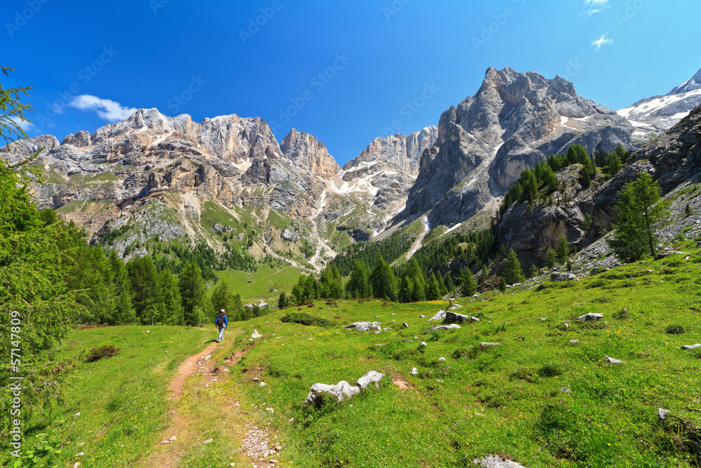 Dolomiti - landscape in Contrin Valley