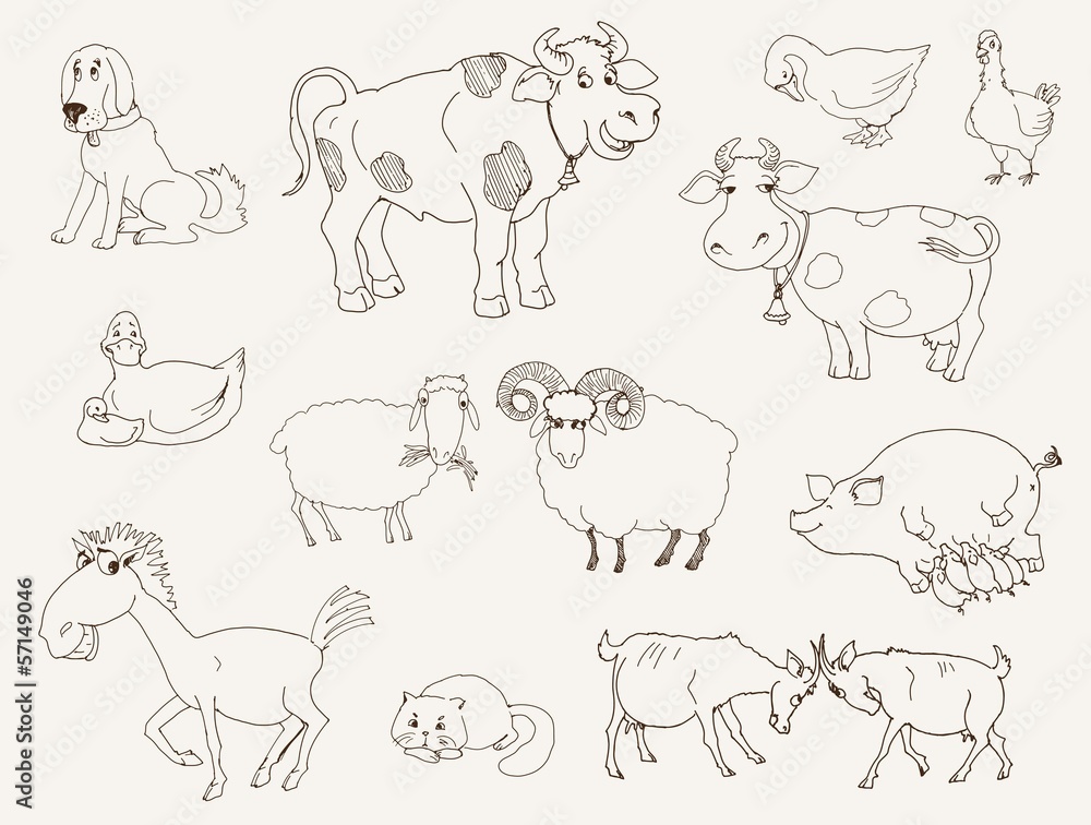 farm animals