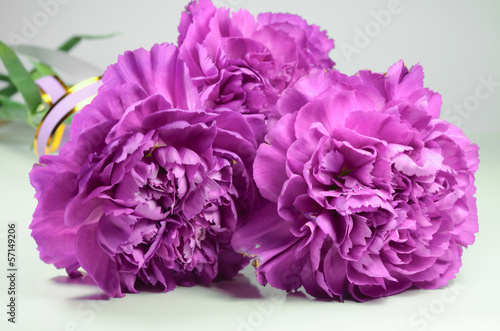 Closeup of beautiful purple clove