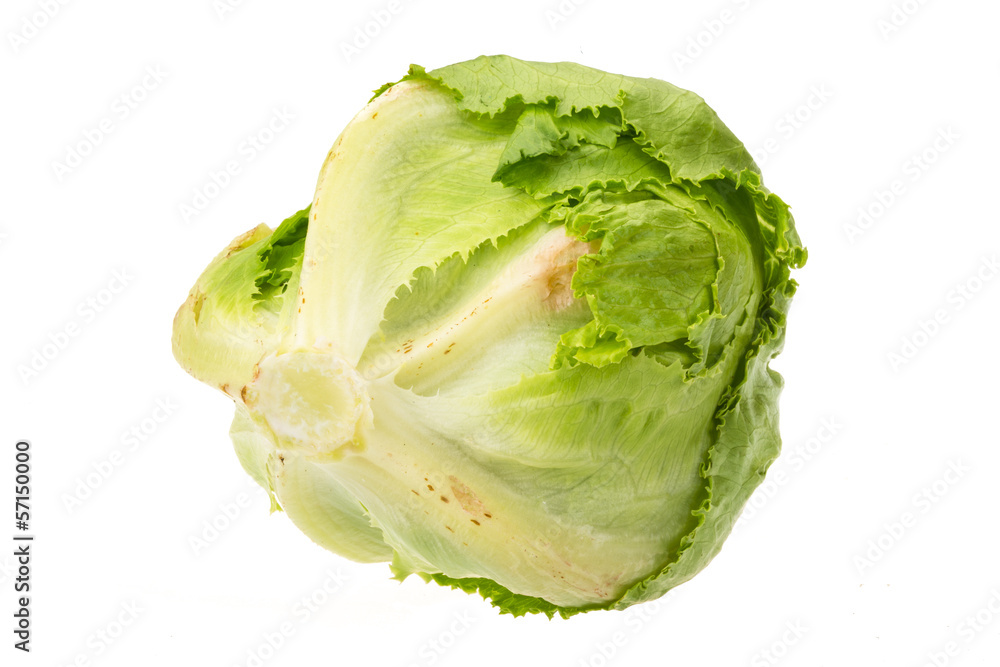 Salad Iceberg Salad Iceberg