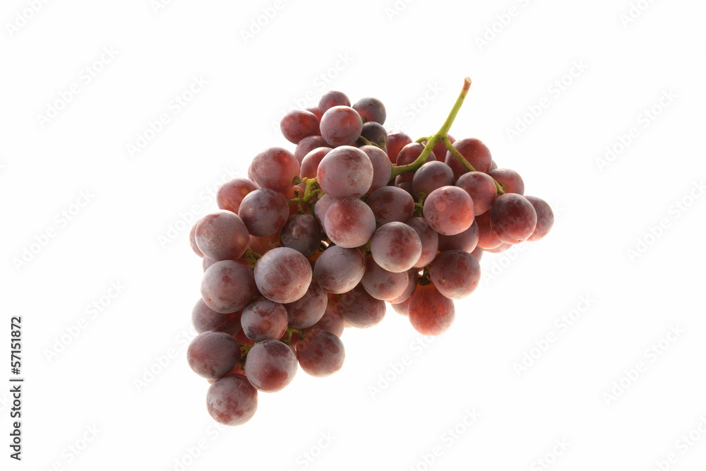 Fototapeta premium Uva mista