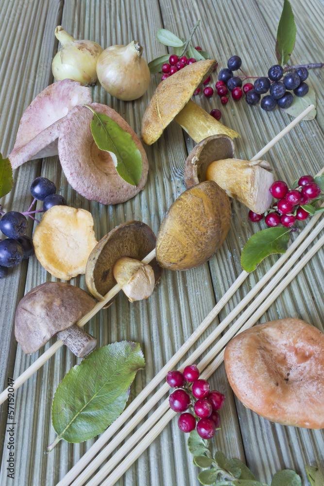 autumn crop of mushrooms and berries