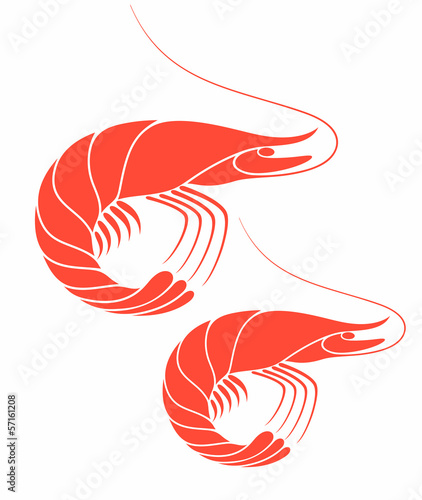 Shrimp