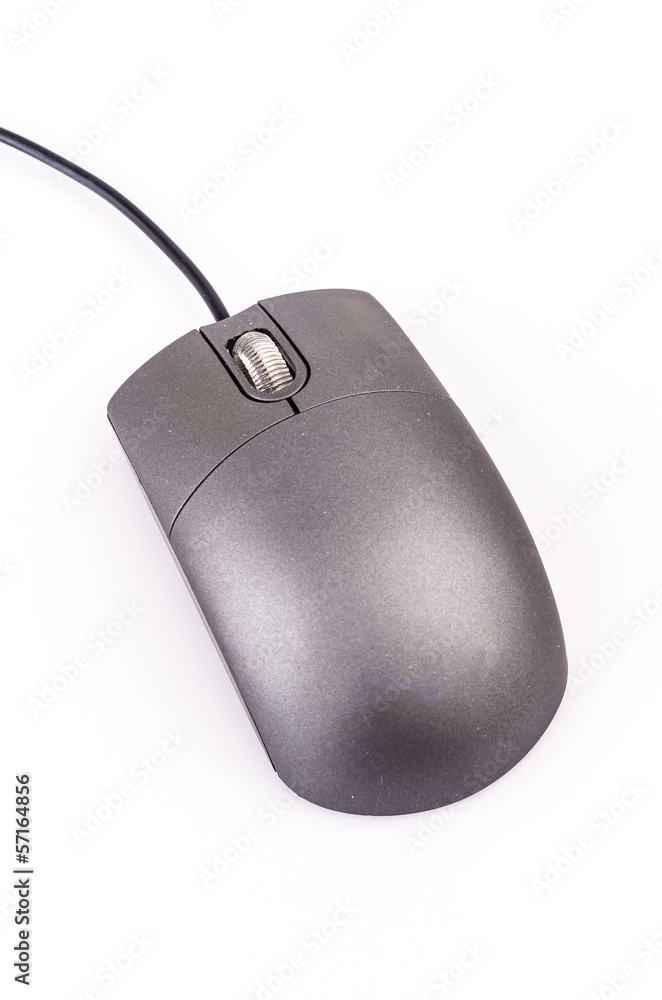 Mouse
