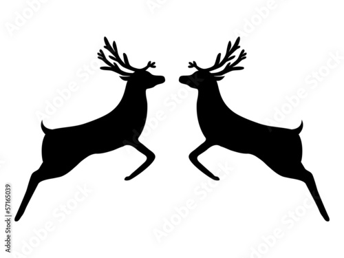 reindeer isolated on white background
