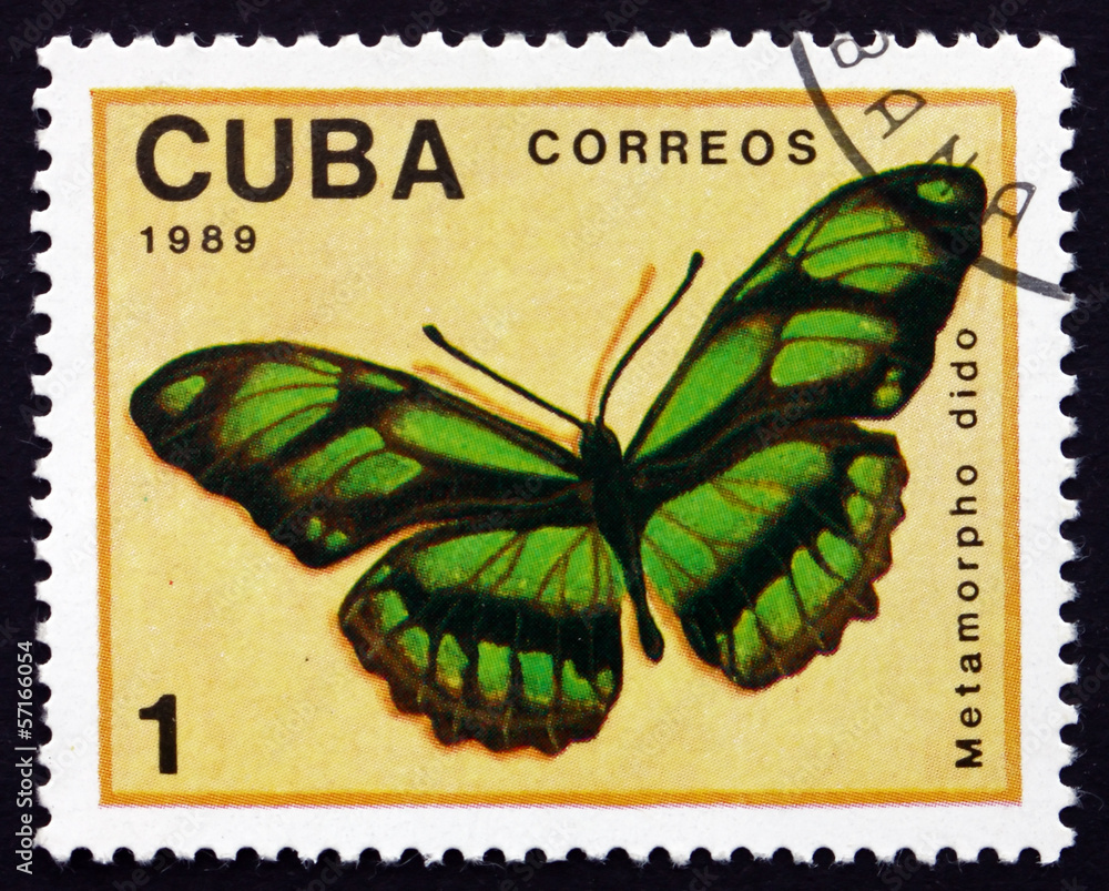 Naklejka premium Postage stamp Cuba 1989 Dido Longwing, Butterfly