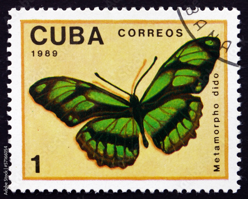 Postage stamp Cuba 1989 Dido Longwing, Butterfly photo