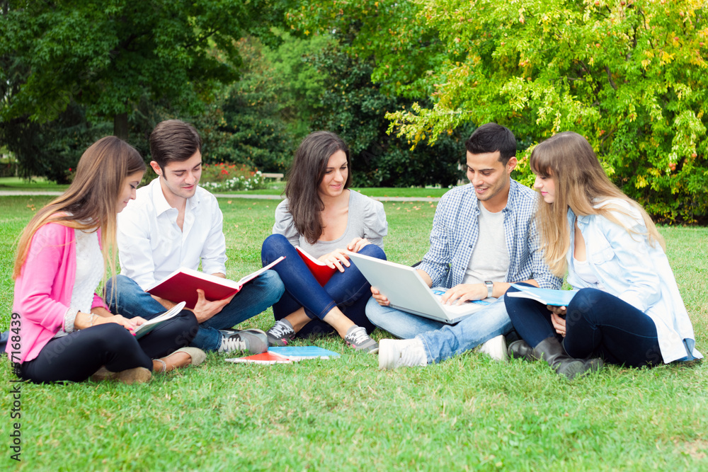 Students studying on the grass Students studying on the grass