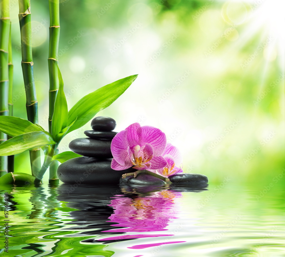 Obraz Tło zdrój - orchidee czarni kamienie i bambus na wodzie