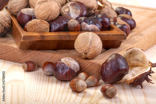 arrangement with walnuts, chestnuts, hazelnuts and almonds